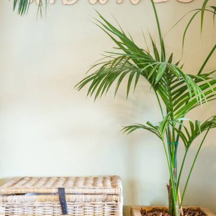 Κέντρο Μητρότητας και Γονεϊκότητας "Midwives"