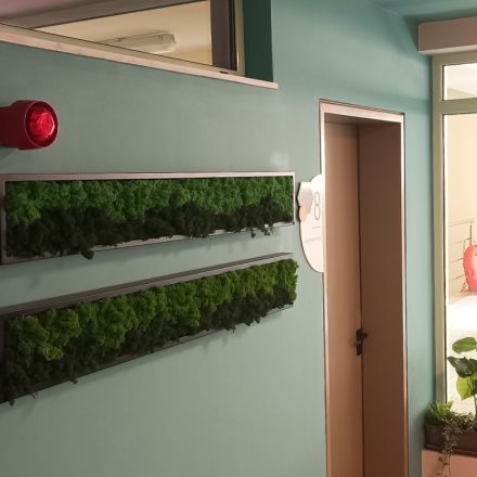 BabyEcoDesign ΑΡΧΙΤΕΚΤΟΝΙΚΟ ΓΡΑΦΕΙΟ ΠΑΙΔΟΚΕΝΤΡΙΚΟΥ ΣΧΕΔΙΑΣΜΟΥ | INTERIORS | EXTERIORS | NEURODIVERSITY ARCHITECTURE