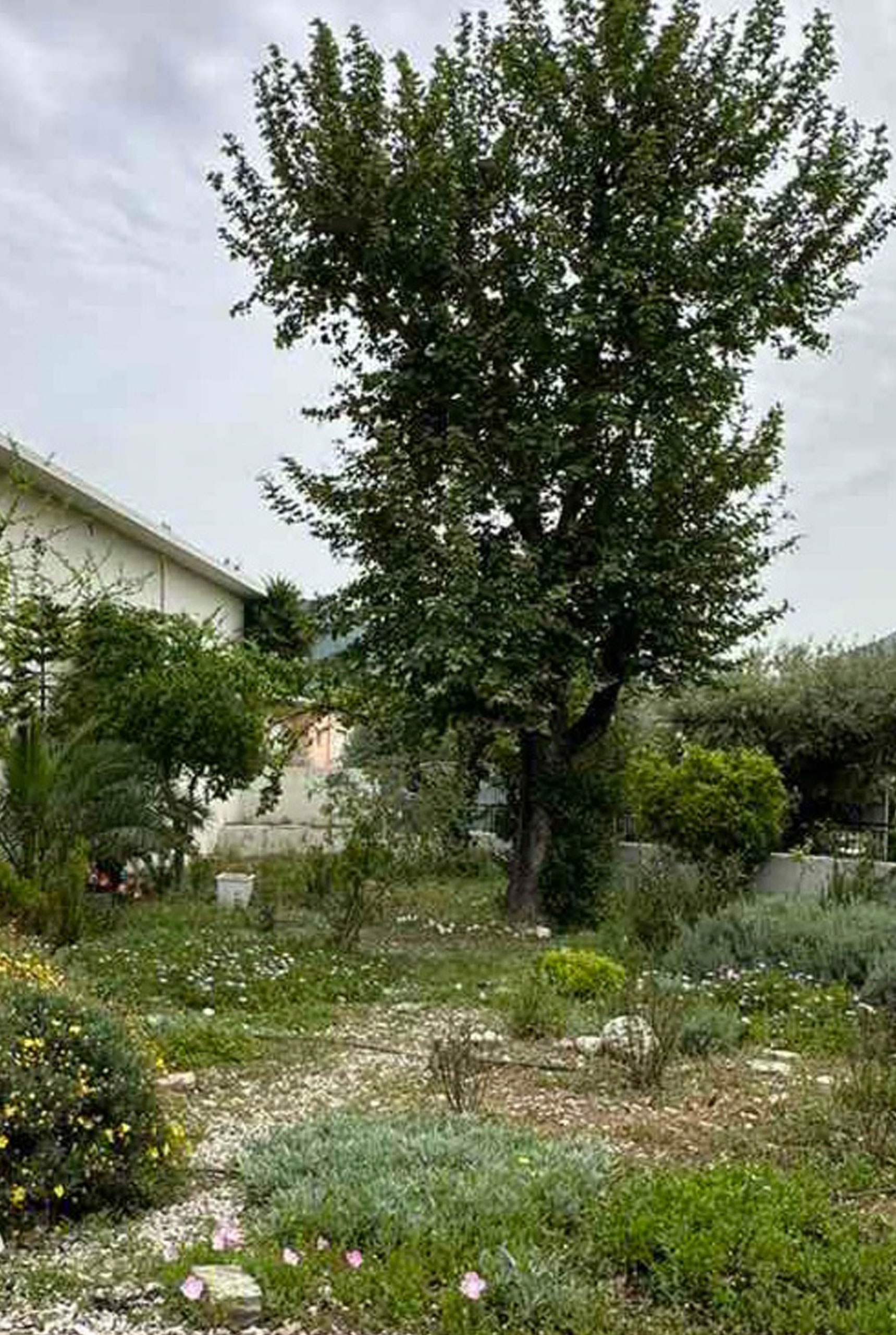 ba-avleios-xoros-patra-001