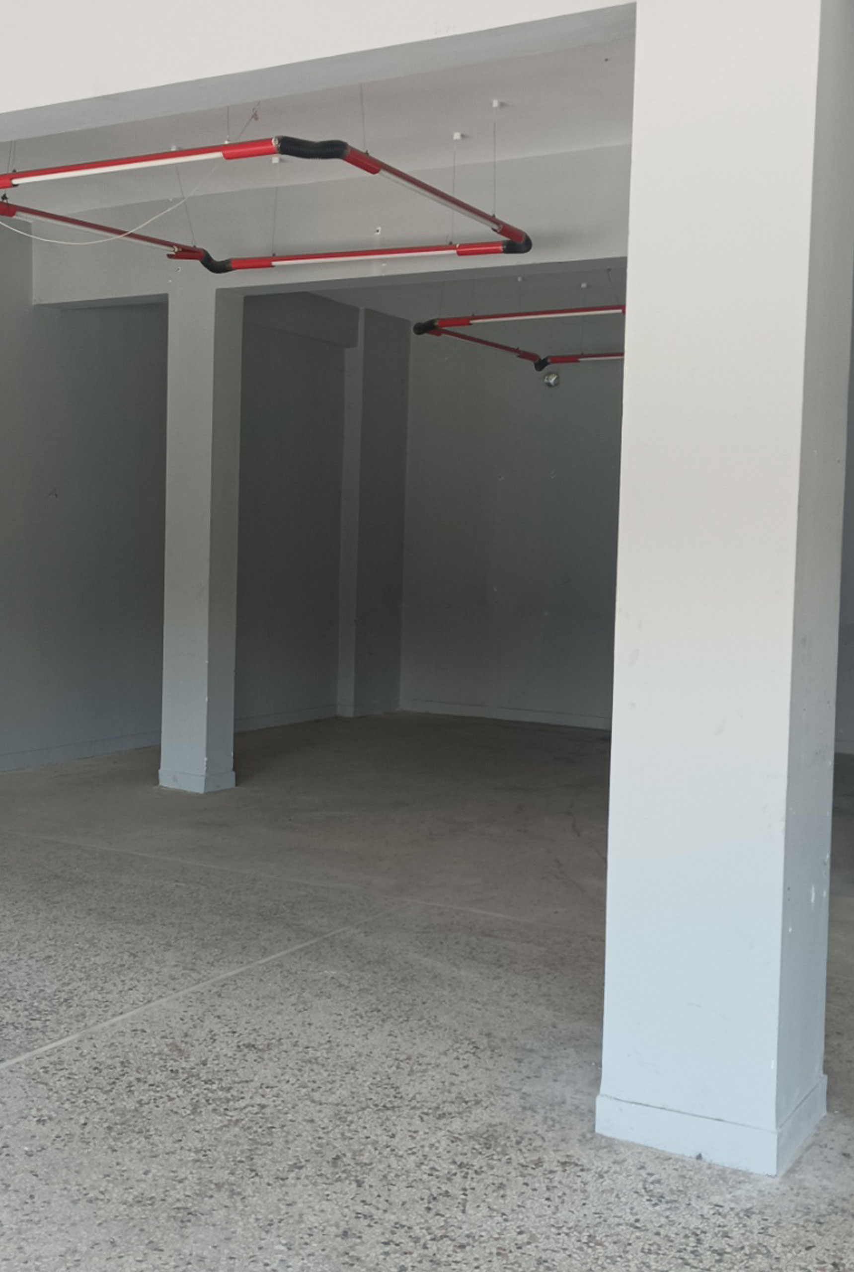 ba-iliotropio-anamoni-001